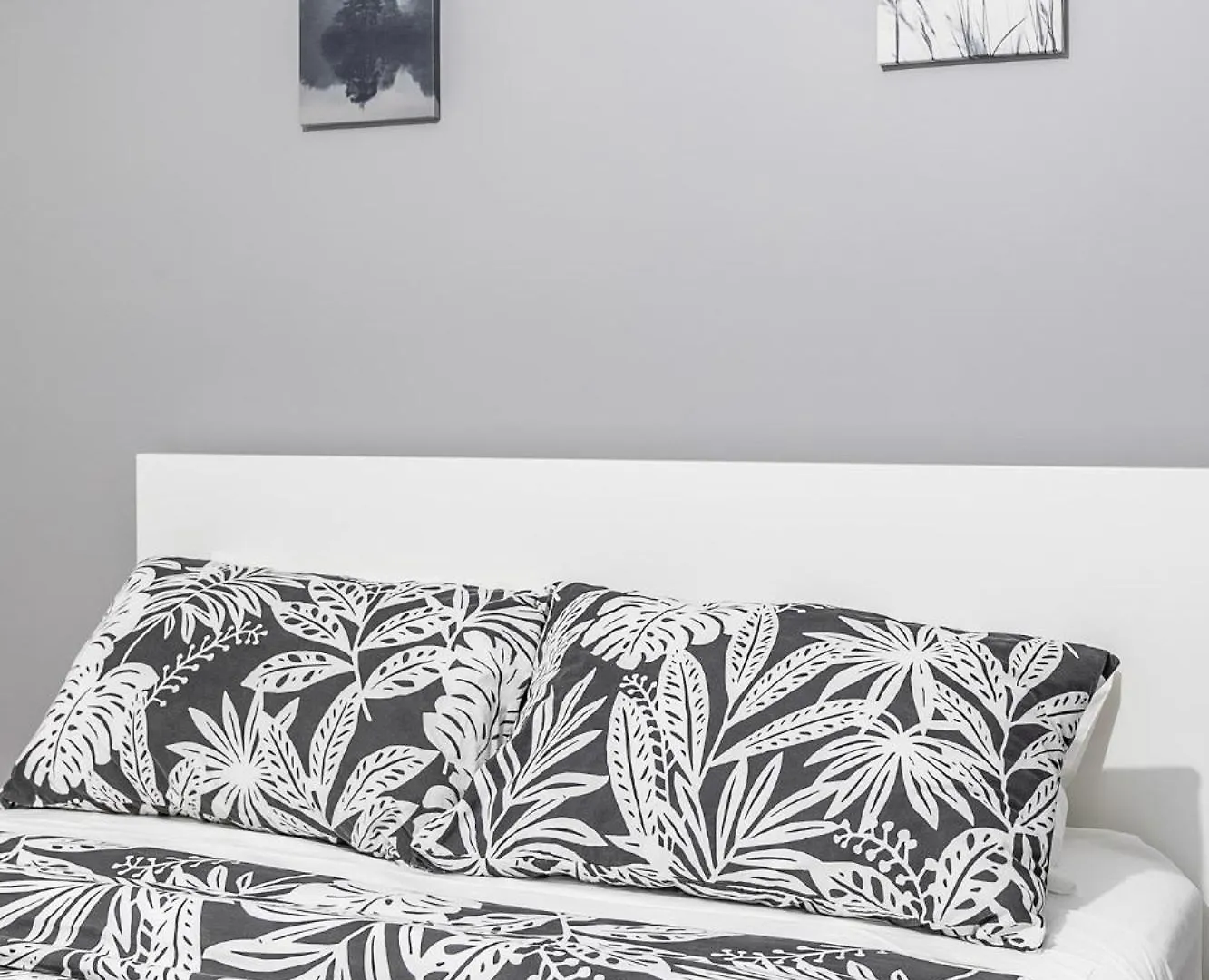 Pet-Friendly Apartment On Ossington Ave Toronto